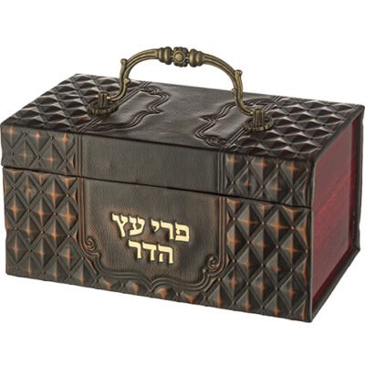 קופסא מהודרת לאתרוג דמוי עור עם ידית ומנעול 13X19 ס"מ