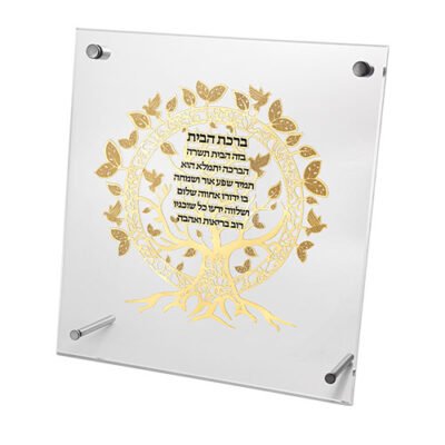 מסגרת אקריליק מהודרת עם פלקטה 23x24 ס"מ
