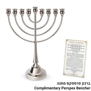 חנוכיה מתכת כסף 49סמ